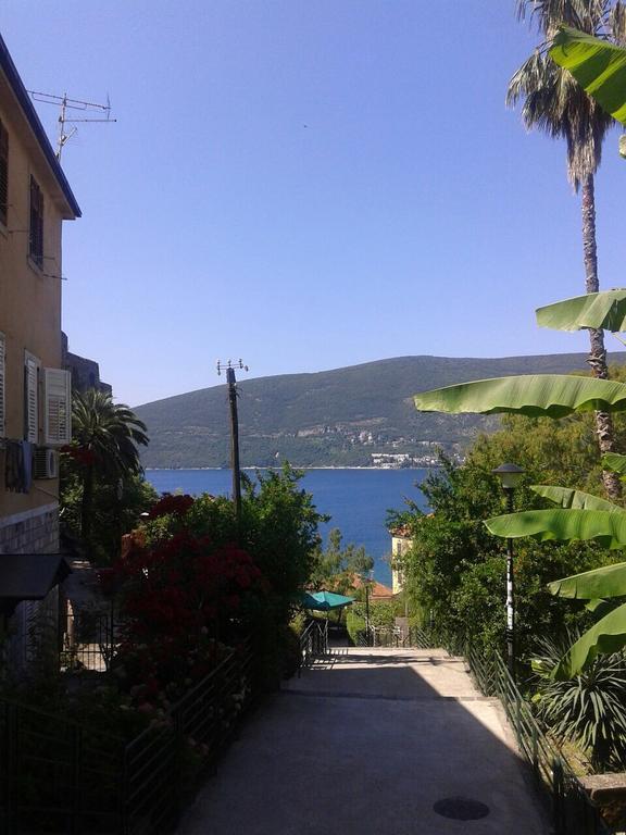 Apartment Old Town Herceg Novi Zewnętrze zdjęcie